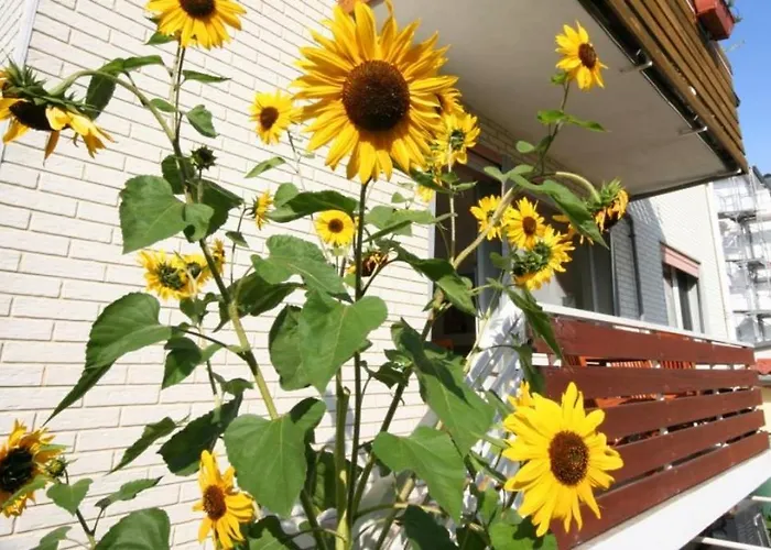 Havenothstrasse Apartamento